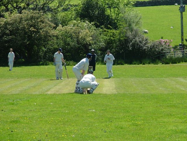 The sheep really didn't get idea of not walking behind the bowlers arm.