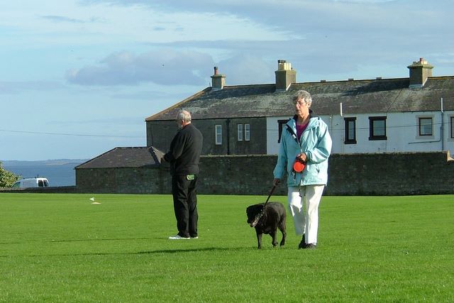 The village idiot walks her dog over the pitch.  And vehemently defends her right to do so, despite the requests of 250 or so people.  The light's fading!